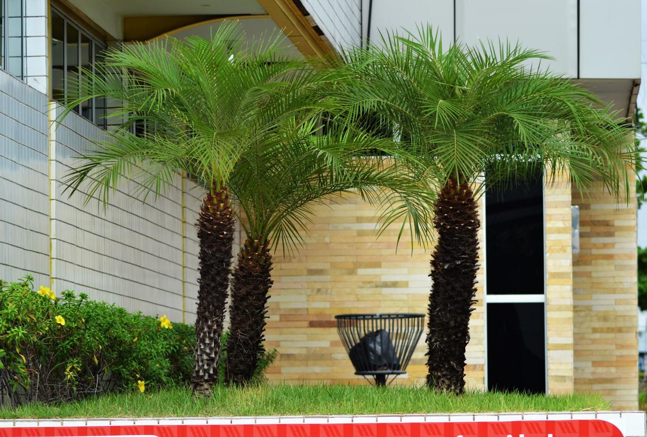Hotel Ideal Teresina Exterior photo
